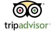 TripAdvisor-Logo 100